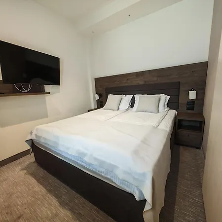 Central Konaci Apartments 科帕奥尼克 外观 照片