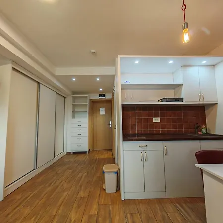 Central Konaci Apartments 科帕奥尼克 客房 照片