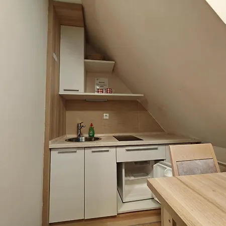Central Konaci Apartments 科帕奥尼克 客房 照片