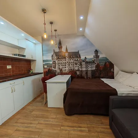 Central Konaci Apartments 科帕奥尼克 外观 照片