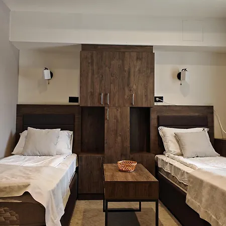 Central Konaci Apartments 科帕奥尼克 外观 照片