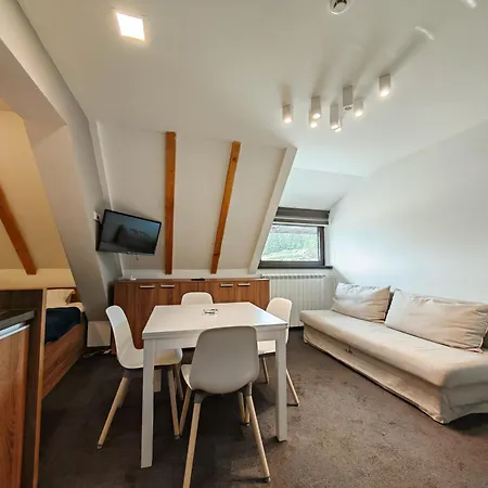 Central Konaci Apartments 科帕奥尼克 外观 照片