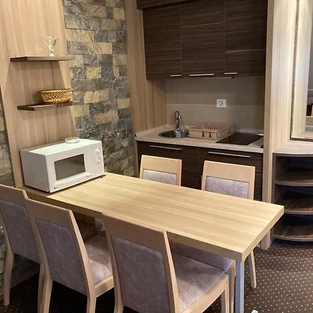 Central Konaci Apartments 科帕奥尼克 客房 照片
